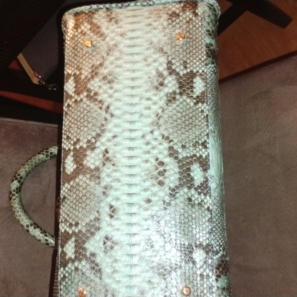 Genuine Python Convertible Handbag NWT - Picture 5 of 12